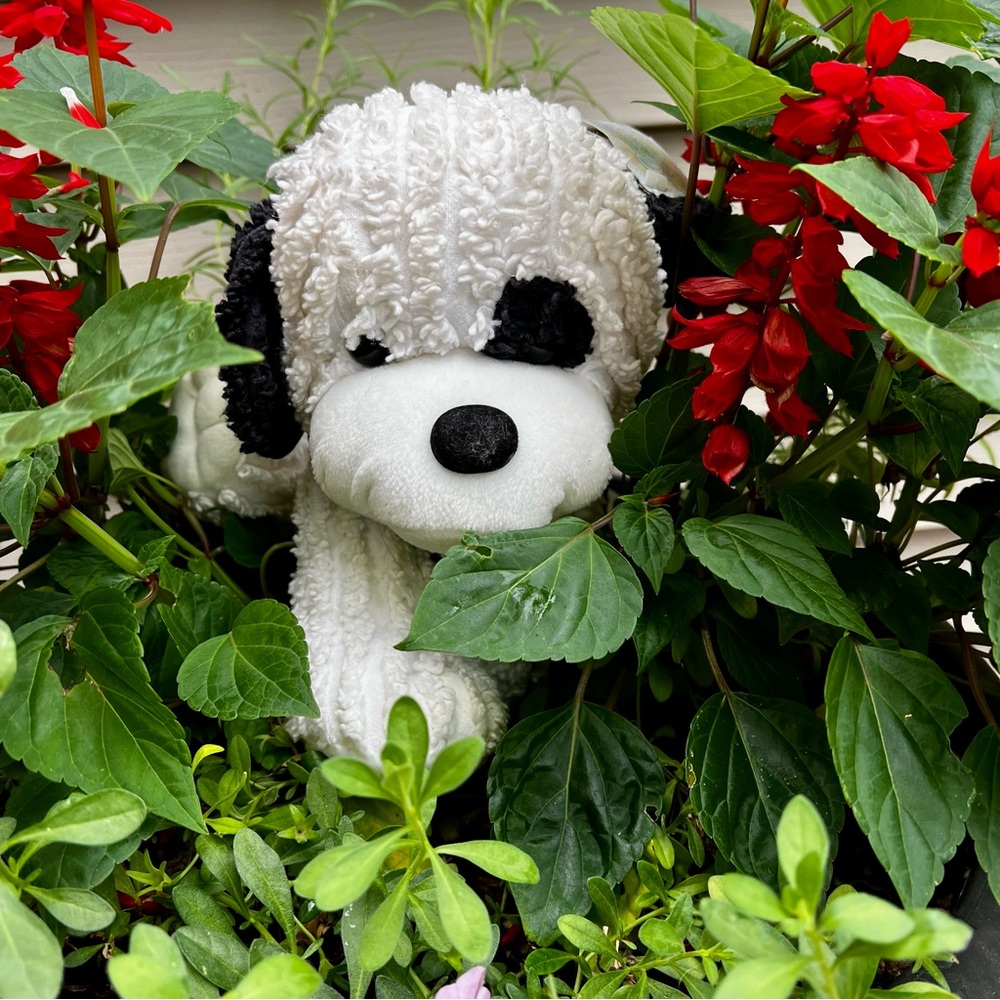 FIESTA CHENILLE PUPPY BEAN BAG